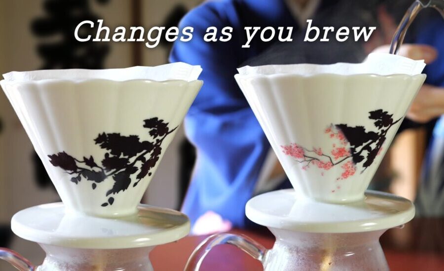 MT coffee brewer KV 6